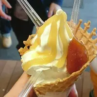 観光農園 吉次園の写真・動画_image_57717