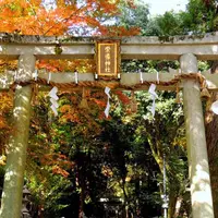 蓮華寺の写真・動画_image_57778