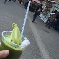 名古屋城の写真・動画_image_57834