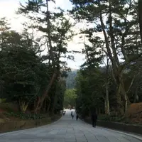 出雲大社の写真・動画_image_57929