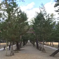 出雲大社の写真・動画_image_57930