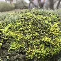 江津市役所桜江庁舎の写真・動画_image_58004