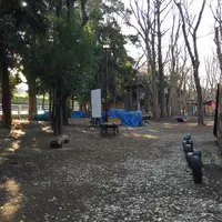 世田谷公園の写真・動画_image_58060