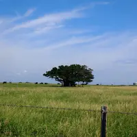 黒島の写真・動画_image_5809