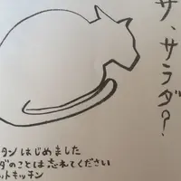 フラットキッチン（FLAT KITCHEN）の写真・動画_image_58142
