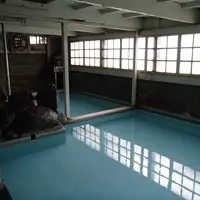 岩下温泉の写真・動画_image_5817