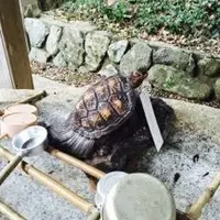 津門神社の写真・動画_image_58174