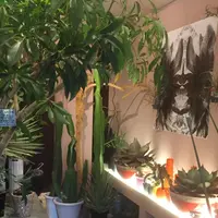 花長生花店の写真・動画_image_58218