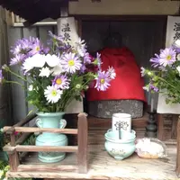 弓松温泉の写真・動画_image_58237