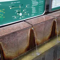 駅前高等温泉の写真・動画_image_58246