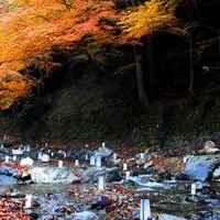 貴船口駅の写真・動画_image_58407