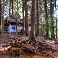 鞍馬山の写真・動画_image_58412