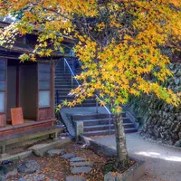 鞍馬山の写真・動画_image_58420