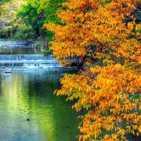 蓮華寺の写真・動画_image_58480