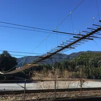 塩郷の吊り橋の写真・動画_image_58490