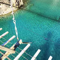 夢の吊橋の写真・動画_image_58514