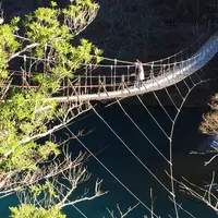 夢の吊橋の写真・動画_image_58515