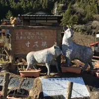 夢の吊橋の写真・動画_image_58517