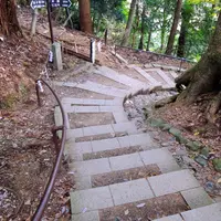 鞍馬山の写真・動画_image_58613