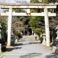 三宅八幡宮の写真・動画_image_58614