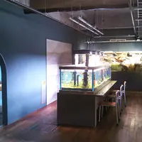 NATURE STUDIO (ネイチャースタジオ)の写真・動画_image_587343