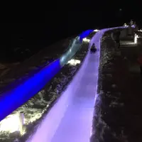 アイスヴィレッジの写真・動画_image_58738