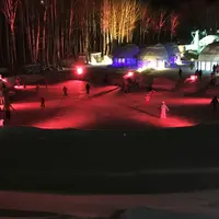 アイスヴィレッジの写真・動画_image_58742