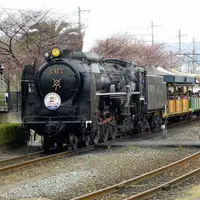 梅小路蒸気機関車館の写真・動画_image_58767