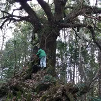満願寺の写真・動画_image_58772