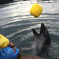海中水族館シードーナツの写真・動画_image_58818