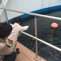 海中水族館シードーナツの写真・動画_image_58819