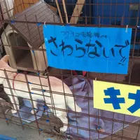 海中水族館シードーナツの写真・動画_image_58820