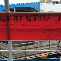 海中水族館シードーナツの写真・動画_image_58823