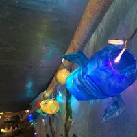 海中水族館シードーナツの写真・動画_image_58827