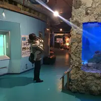 海中水族館シードーナツの写真・動画_image_58831