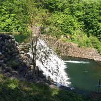 やまびこ吊り橋の写真・動画_image_58847