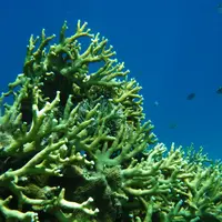 安慶名敷島の写真・動画_image_5885