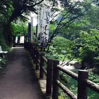 かつらの湯の写真・動画_image_58857