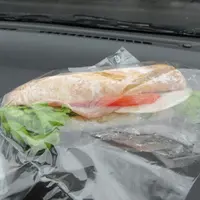 カタリモの写真・動画_image_588856