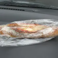 カタリモの写真・動画_image_588857