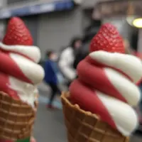 築地場外市場の写真・動画_image_589022