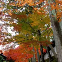 明暗寺の写真・動画_image_58912