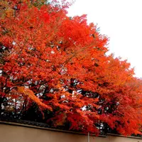 明暗寺の写真・動画_image_58913