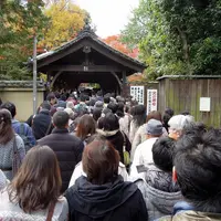 東福寺の写真・動画_image_58915
