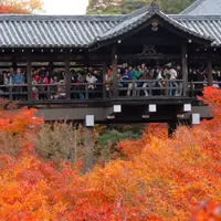 東福寺の写真・動画_image_58916