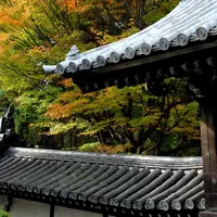 東福寺の写真・動画_image_58917