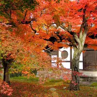 東福寺の写真・動画_image_58918