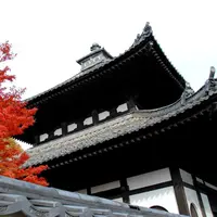 東福寺の写真・動画_image_58921