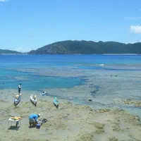 ネイチャーランド カヤックスの写真・動画_image_5894