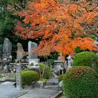 即成院の写真・動画_image_58963